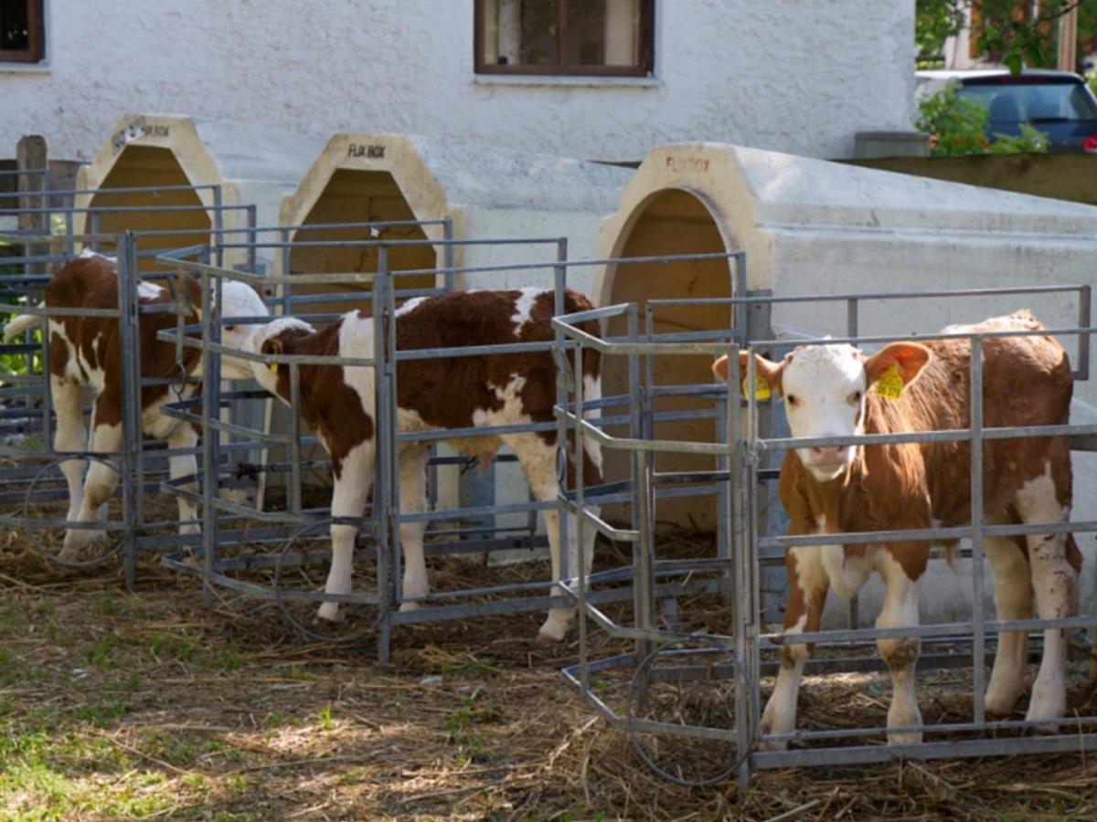 Koenig Andrea Schwaigerhof Rottau Villa Luaran gambar